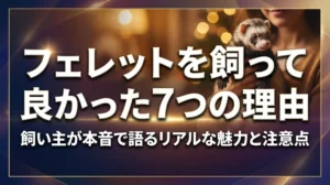 フェレットを飼って良かった7つの理由｜飼い主が本音で語るリアルな魅力と注意点