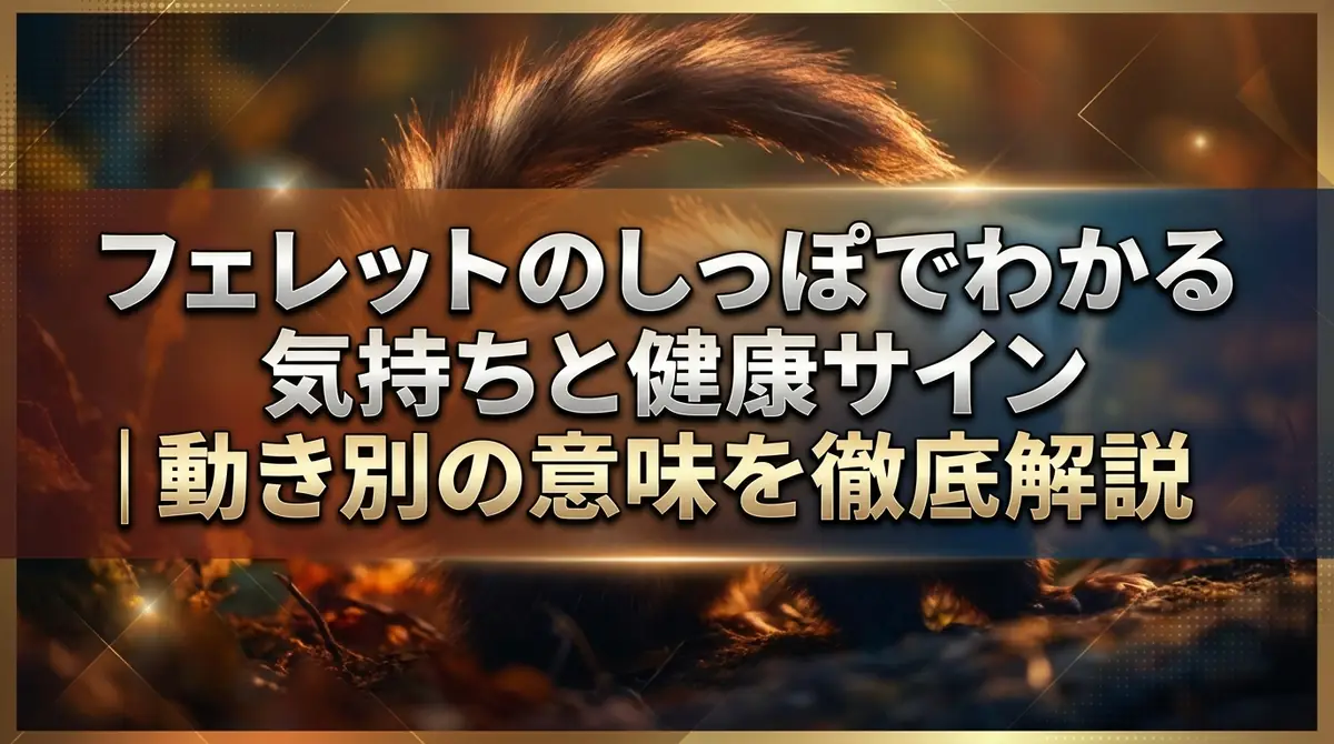 フェレットのしっぽでわかる気持ちと健康サイン|動き別の意味を徹底解説
