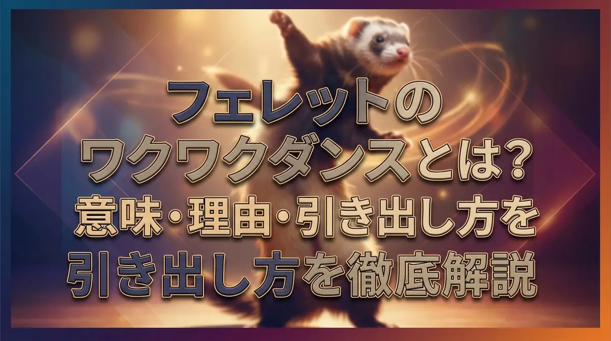 フェレットのワクワクダンスとは?意味・理由・引き出し方を徹底解説