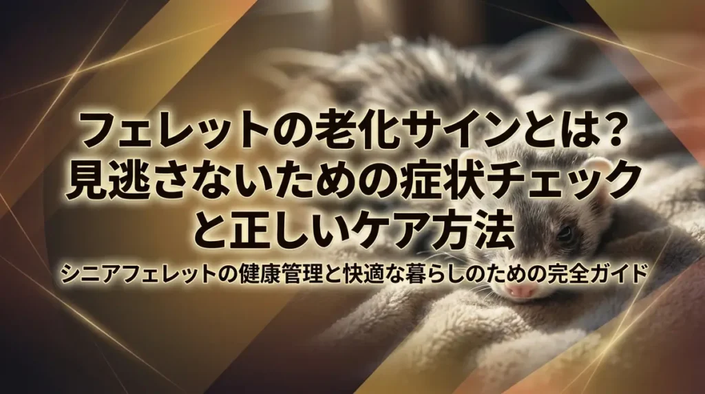 フェレットの老化サインとは？見逃さないための症状チェックと正しいケア方法